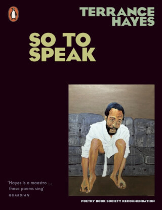 So To Speak - Hayes Terrance