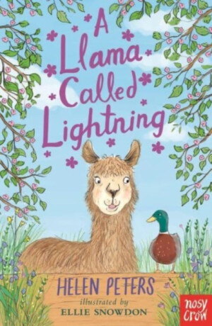 A Llama Called Lightning - Helen Peters