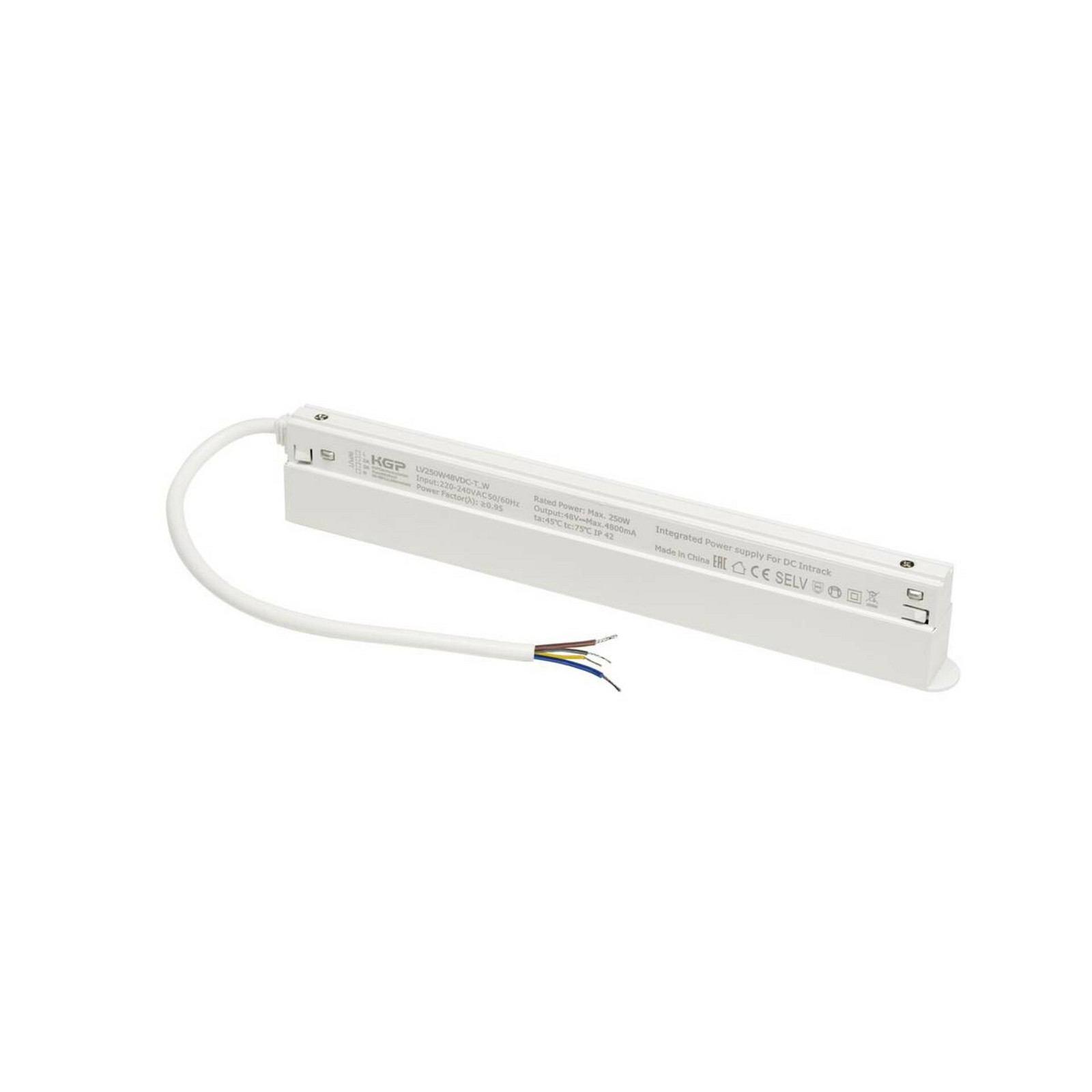 BIG WHITE (SLV) 48V SYSTEM driver LED Intrack, 48VDC, 250W, vč. propojení DALI, bílý 1007873