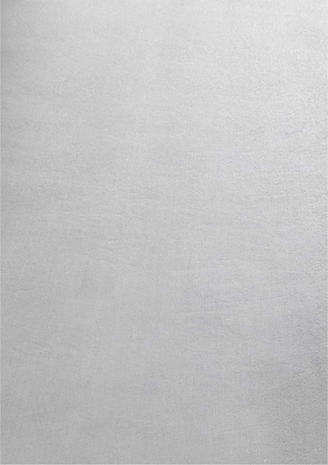 Světle šedý pratelný koberec 60x110 cm Sky – Ayyildiz Carpets