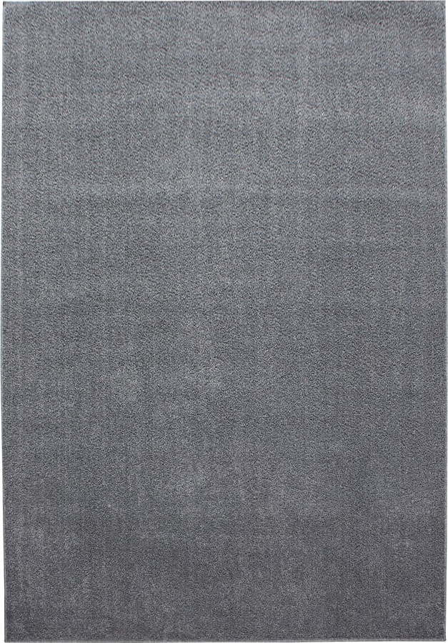 Šedý běhoun 80x250 cm Ata – Ayyildiz Carpets