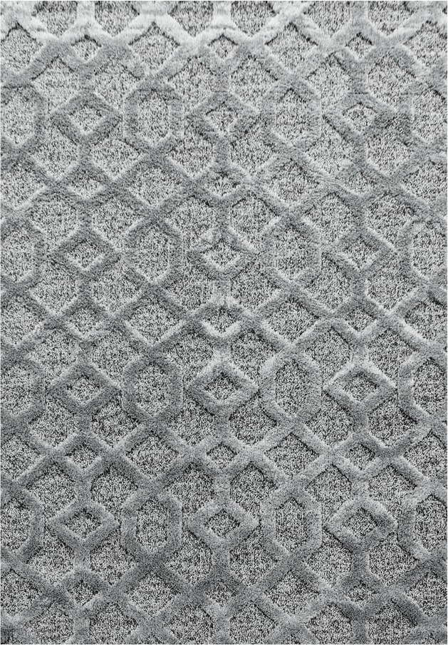 Šedý koberec 120x170 cm Pisa – Ayyildiz Carpets