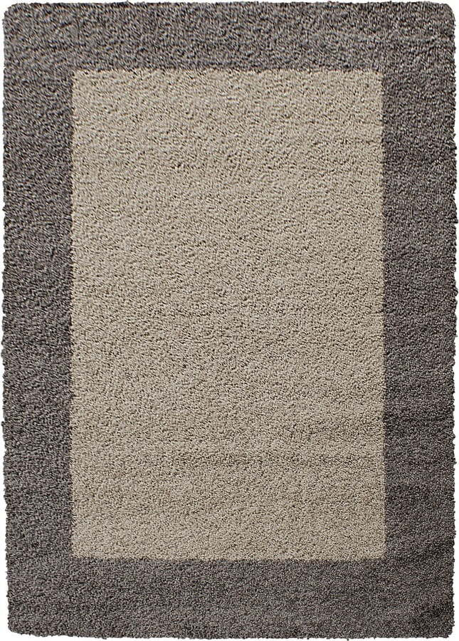 Hnědý koberec 160x230 cm Life – Ayyildiz Carpets