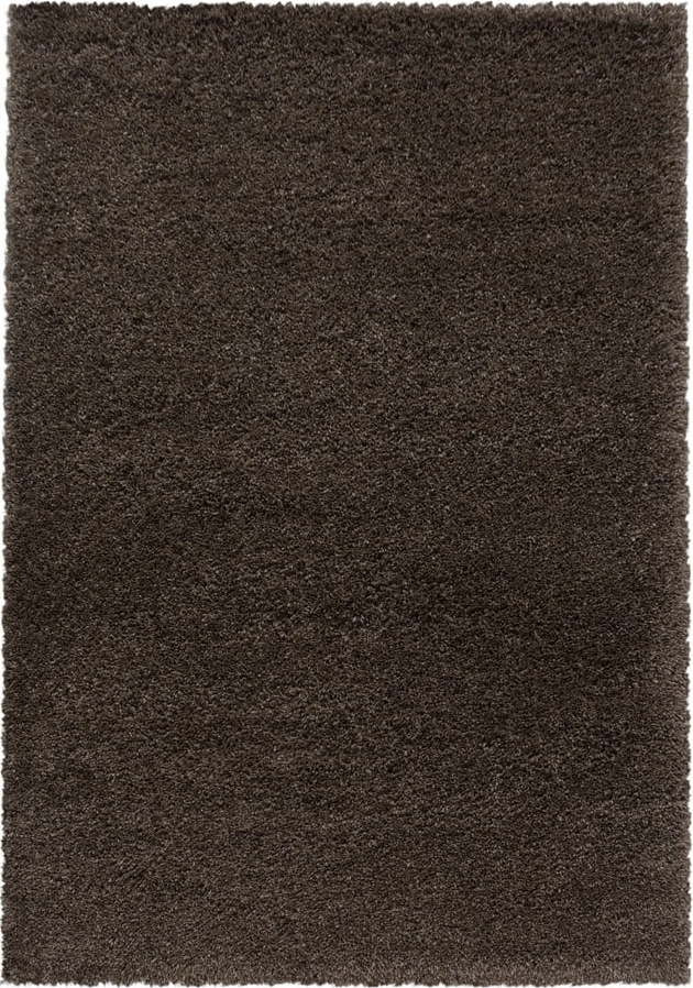 Tmavě hnědý koberec 160x230 cm Fluffy – Ayyildiz Carpets