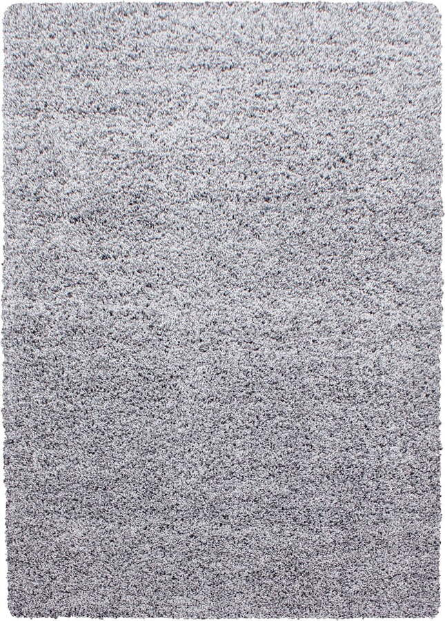 Světle šedý koberec 200x290 cm Life – Ayyildiz Carpets