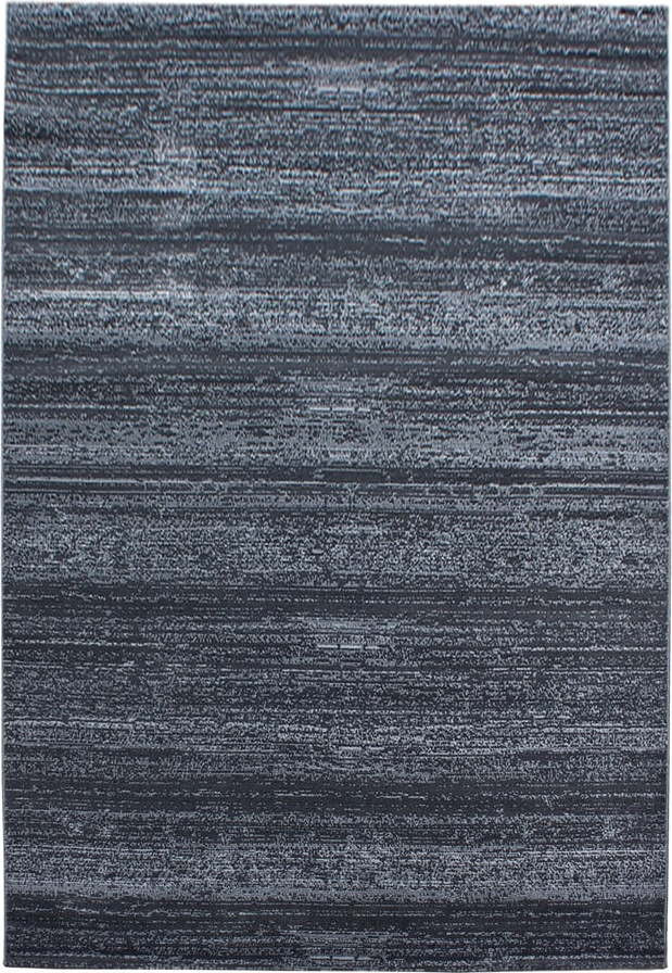 Šedý koberec 120x170 cm Plus – Ayyildiz Carpets