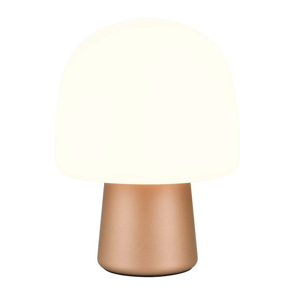 Stolní lampa v bílo-bronzové barvě se skleněným stínidlem (výška 27 cm) Steen – Trio