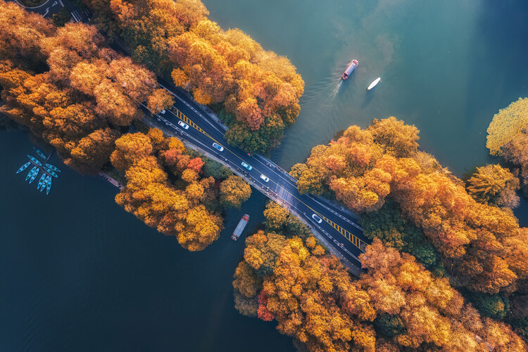 Yuan Cui Fotografie Autumn Dye Yang Gongdi, Yuan Cui, 40 × 26.7 cm