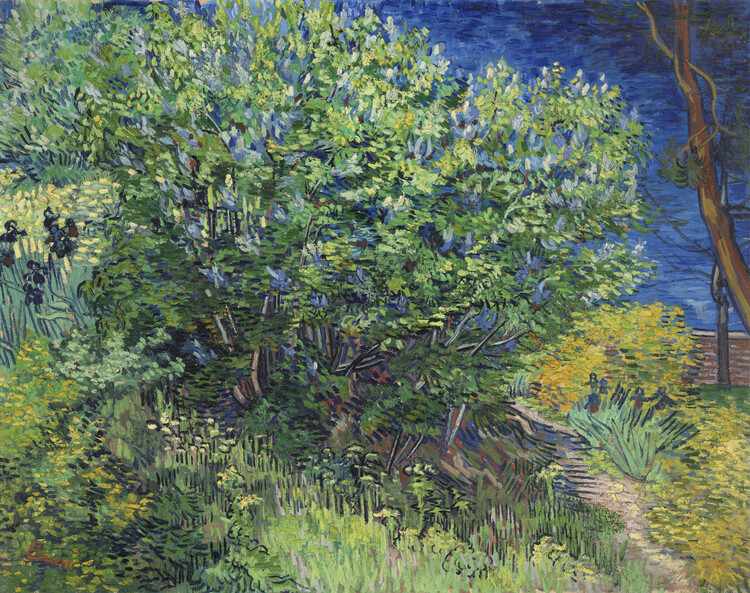 Vincent van Gogh Obrazová reprodukce Lilac Bush (1889), Vincent van Gogh, 40 × 30 cm