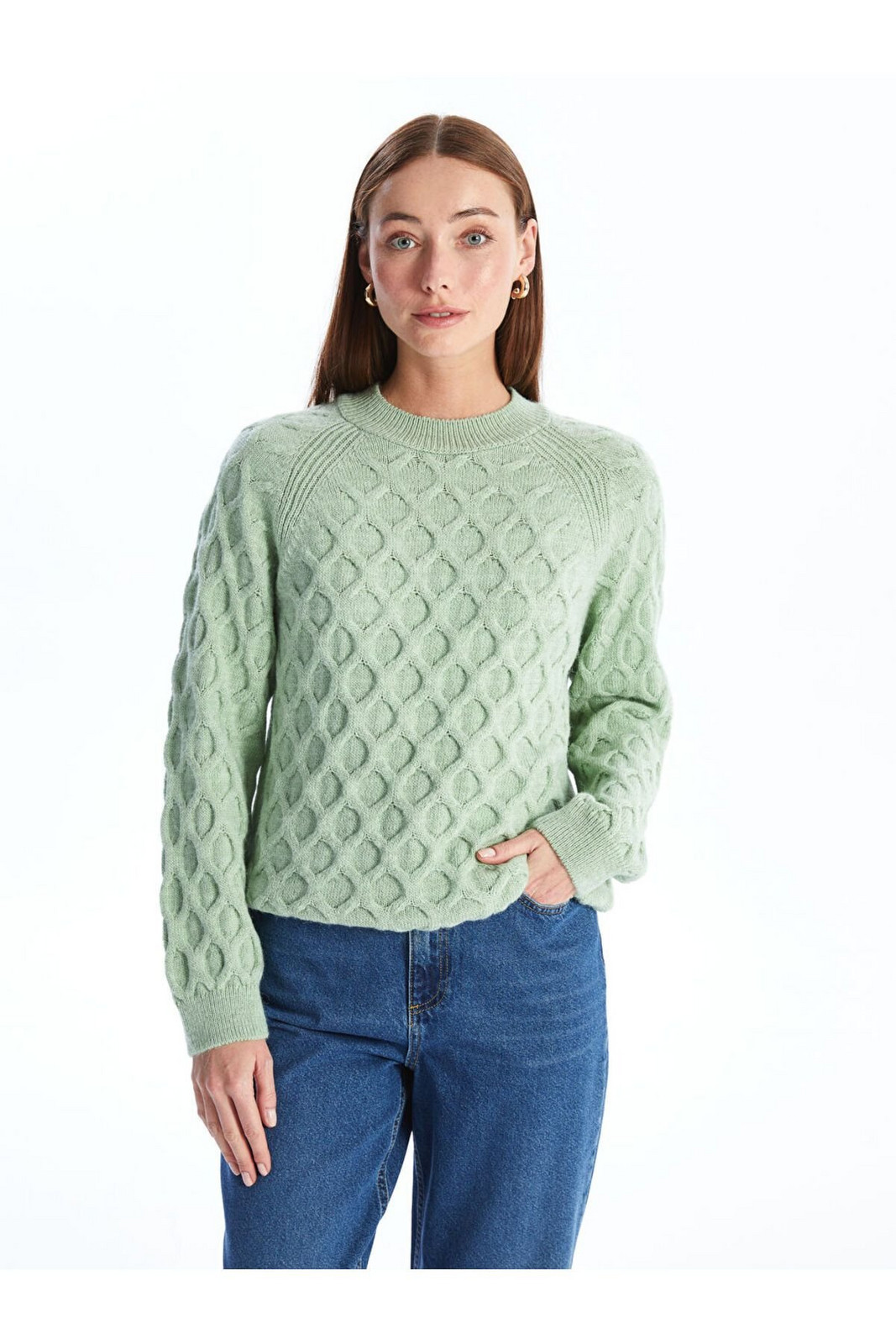 LC Waikiki LCW Crew Neck Self-Patterned Long Sleeve Women's Knitwear Sweater