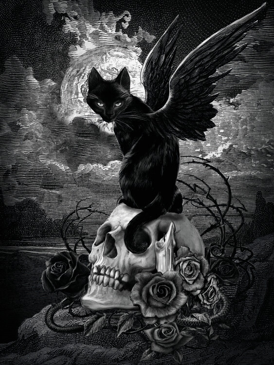 Alchemy Ilustrace Nine Lives of Poe, Alchemy, 30 × 40 cm