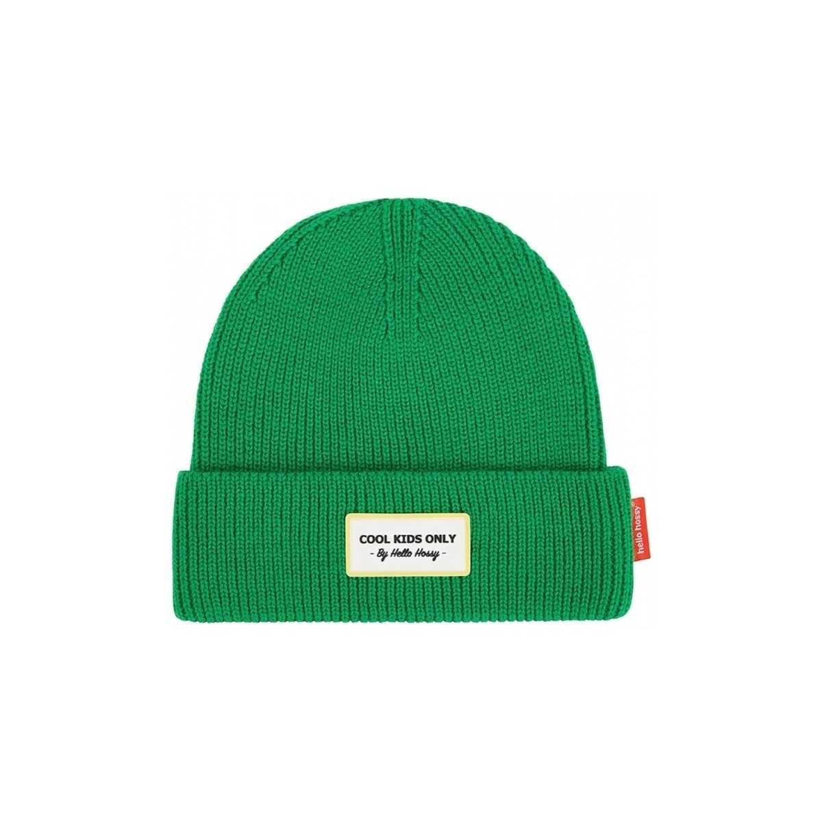 Hello Hossy  Pop Dads Beanie - Croco  Zelená