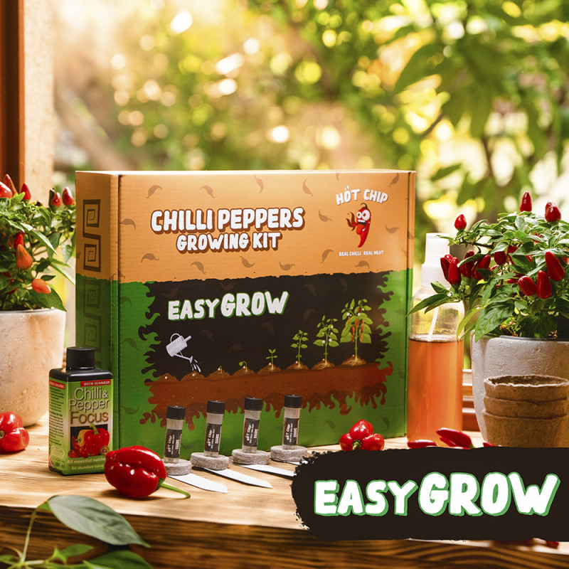 Sada na pěstování chilli papriček - Easy Grow