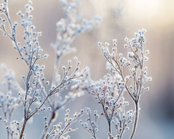 EyeEm Mobile GmbH Fotografie Close-Up Of Snow Against Sky, EyeEm Mobile GmbH, 40 × 30 cm