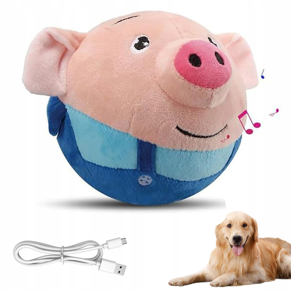 Interaktivní Hudební Skákací Míček Pro Zvířata