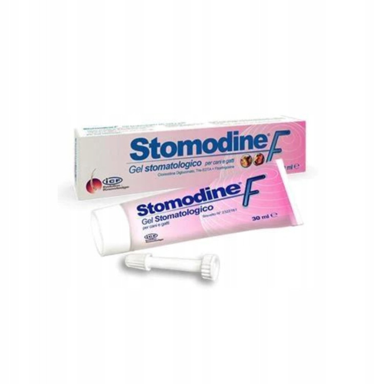 Stomodine Icf Geulincx 30 ML pasta pro psy a kočky