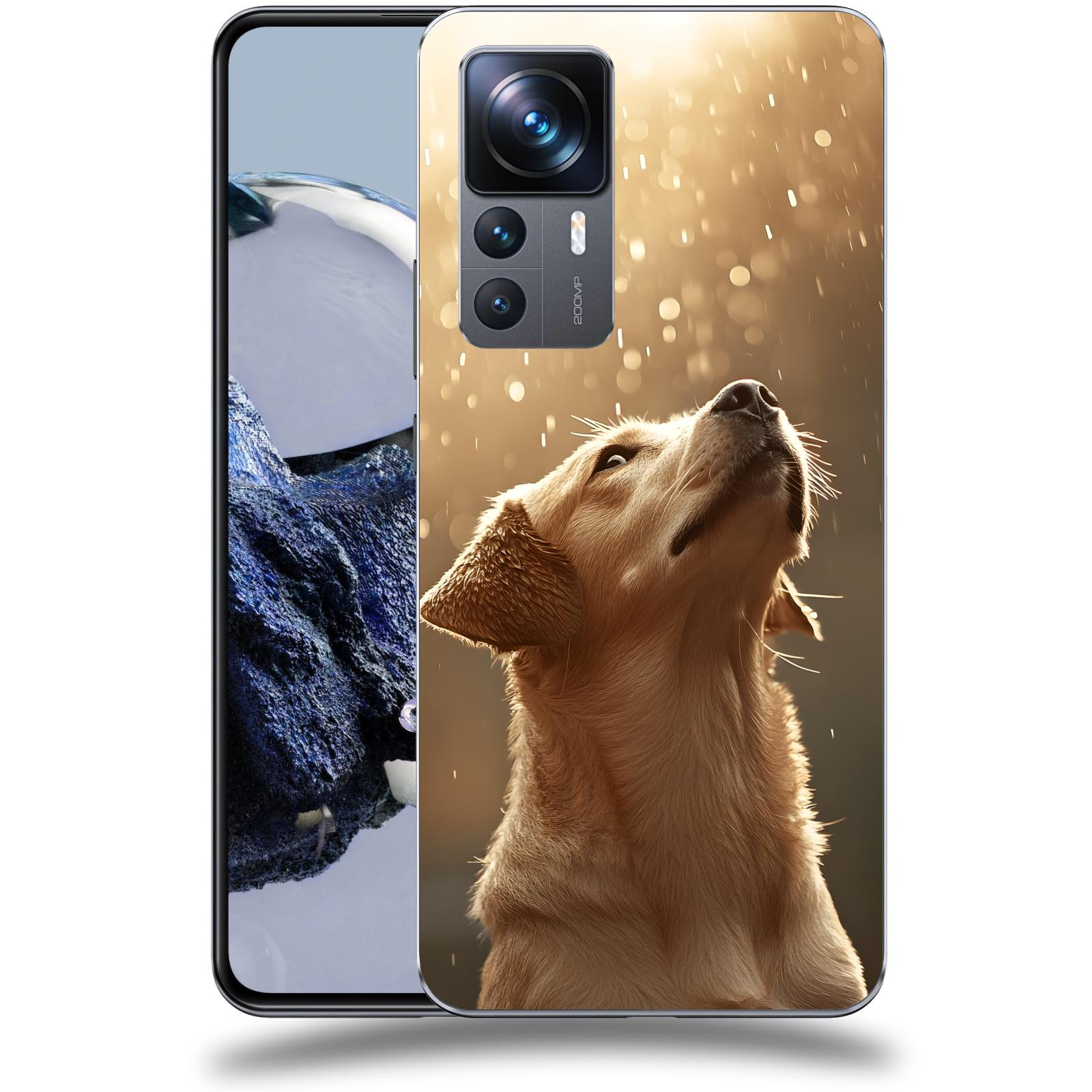 ACOVER Kryt na mobil Xiaomi 12T Pro - Pes