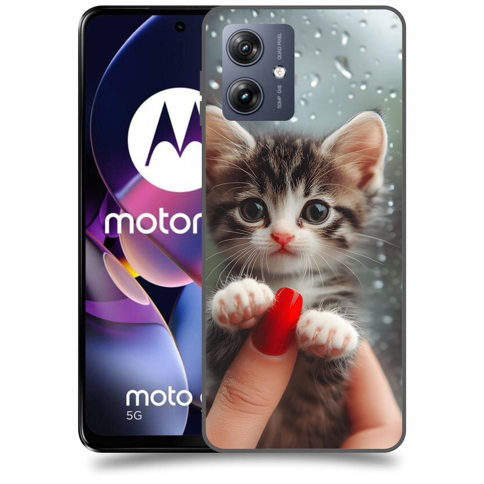 ACOVER Kryt na mobil Motorola Moto G54 5G - Koťátko 2