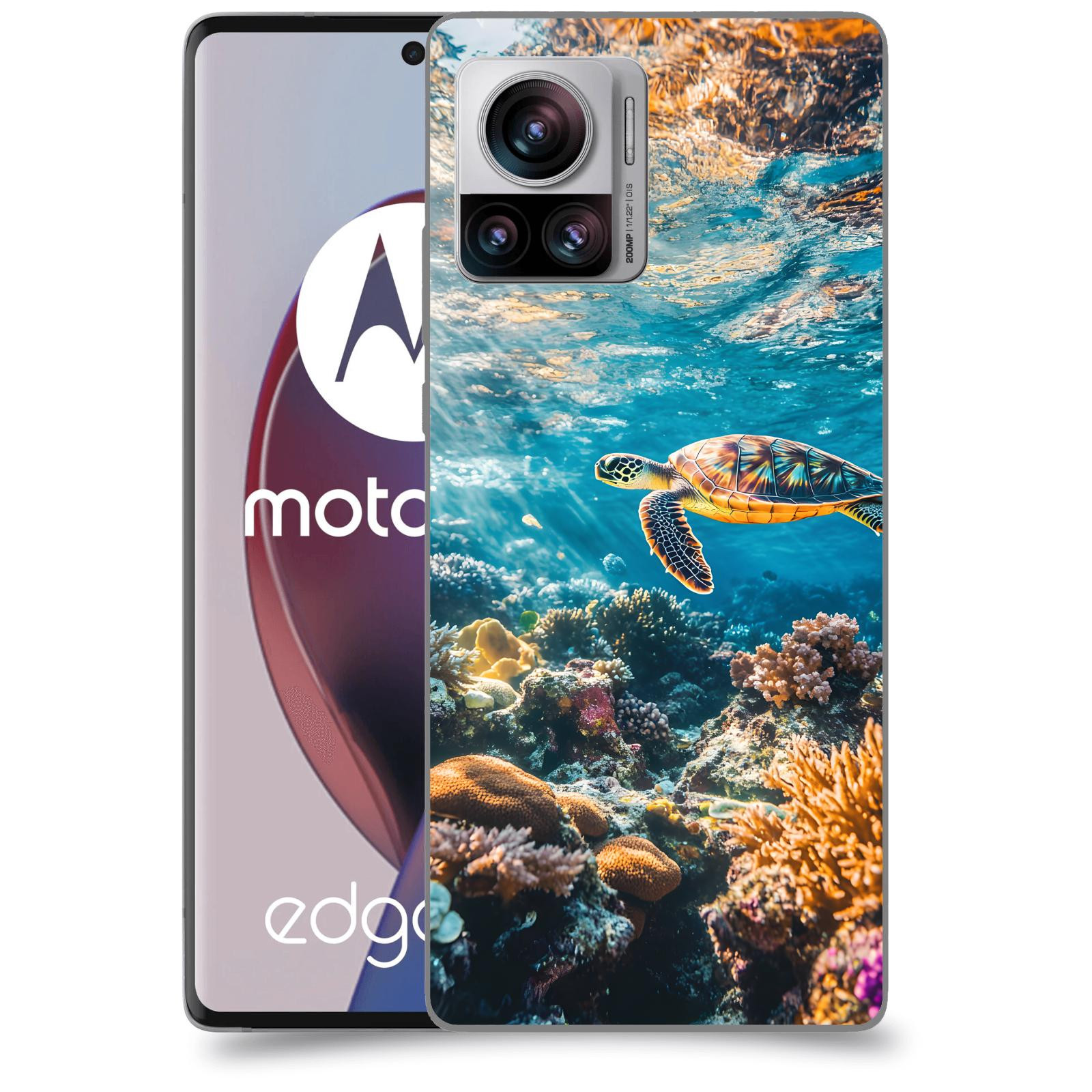 ACOVER Kryt na mobil Motorola Edge 30 Ultra - Želva