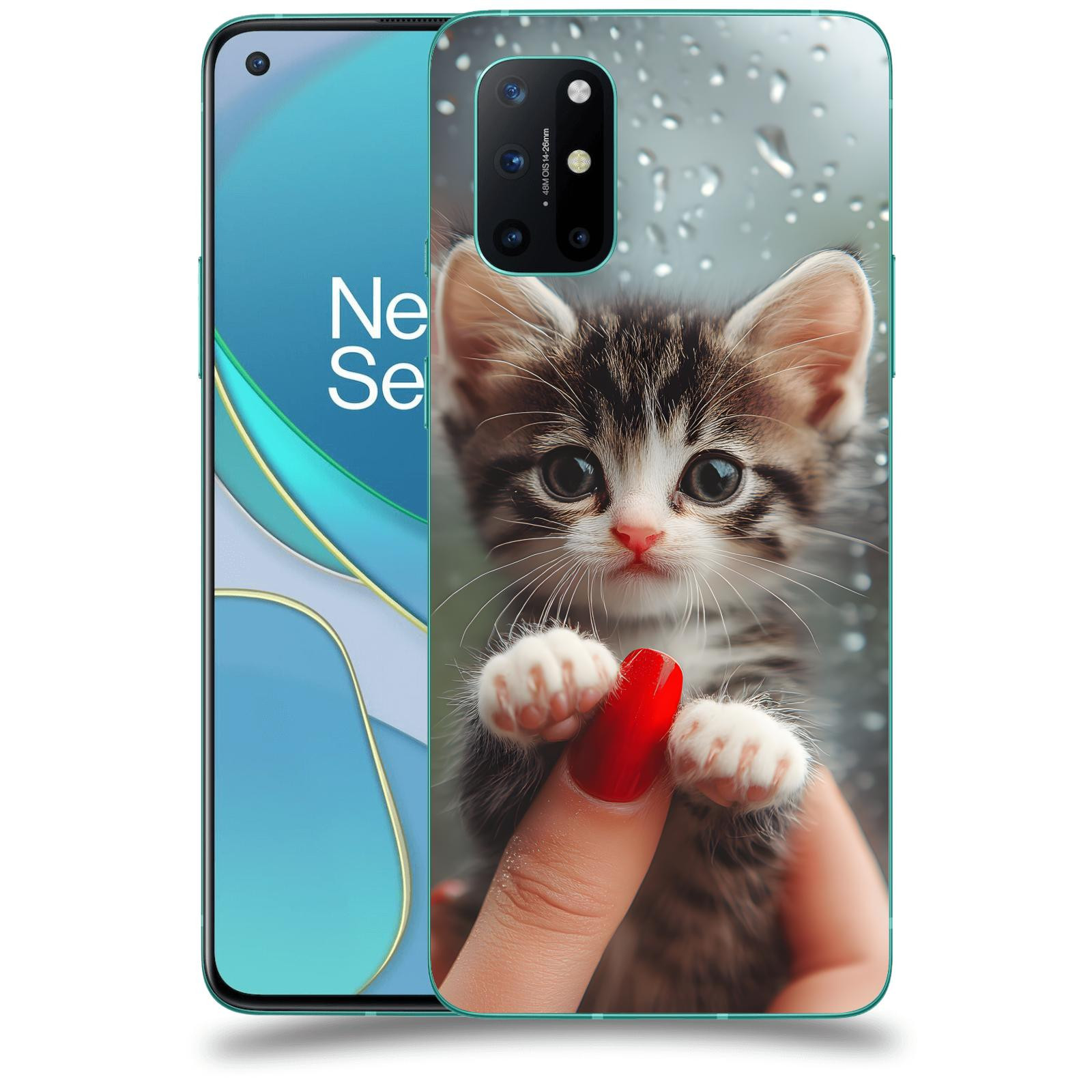 ACOVER Kryt na mobil OnePlus 8T - Koťátko 2