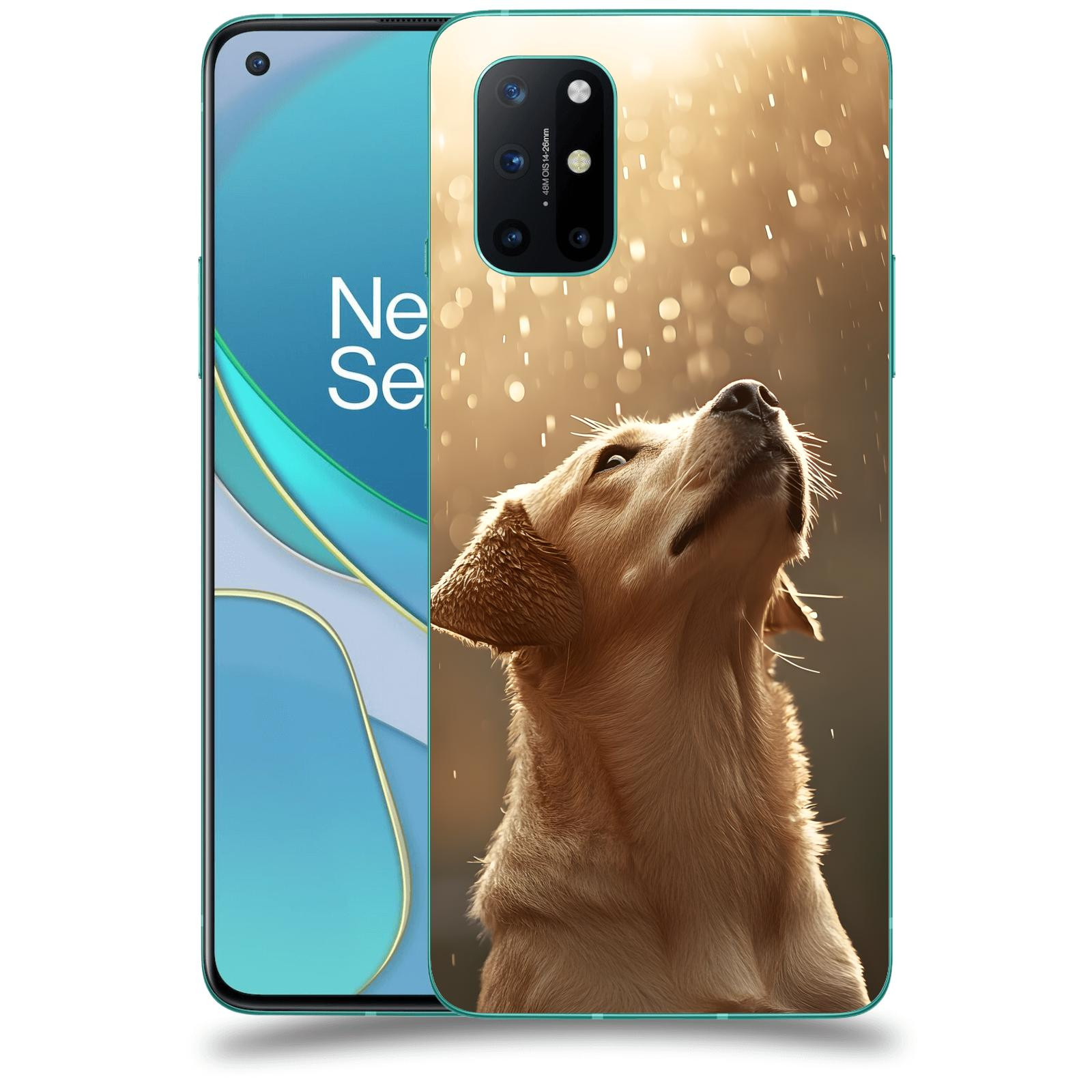 ACOVER Kryt na mobil OnePlus 8T - Pes