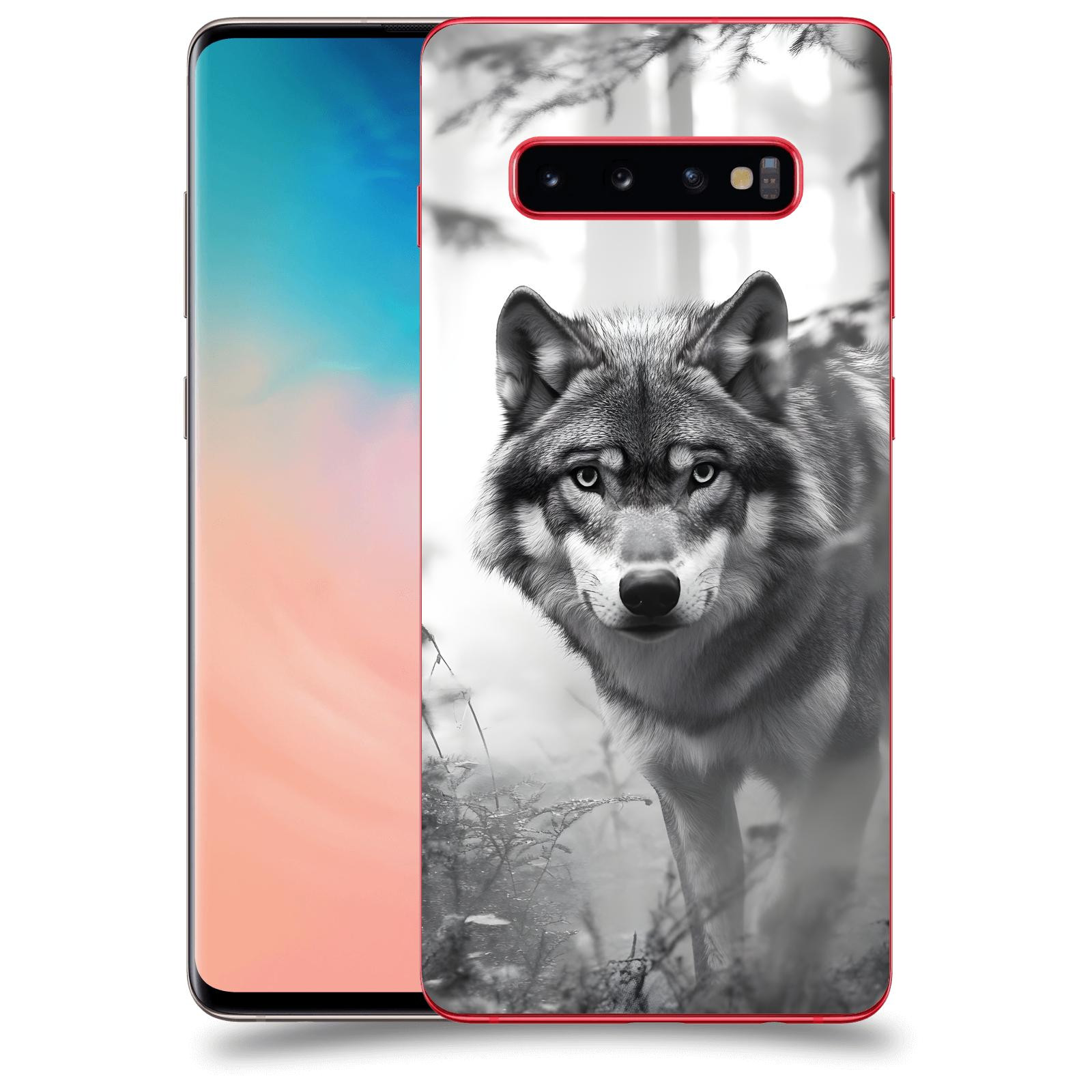 ACOVER Kryt na mobil Samsung Galaxy S10 Plus G975 - Vlk