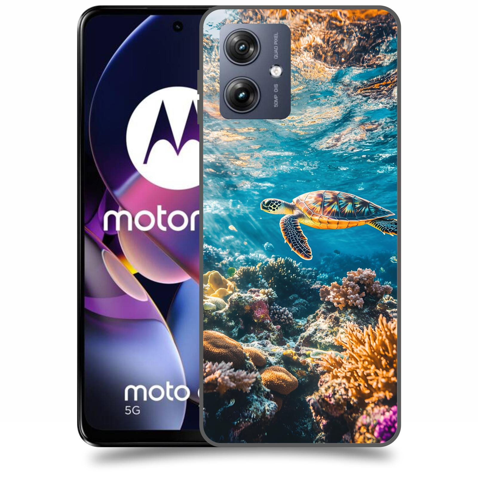 ACOVER Kryt na mobil Motorola Moto G54 5G - Želva