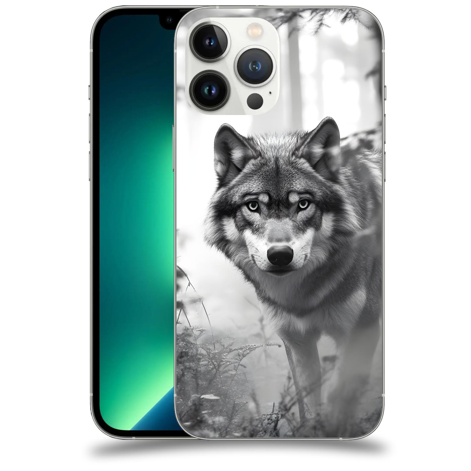 ACOVER Kryt na mobil Apple iPhone 13 Pro Max - Vlk