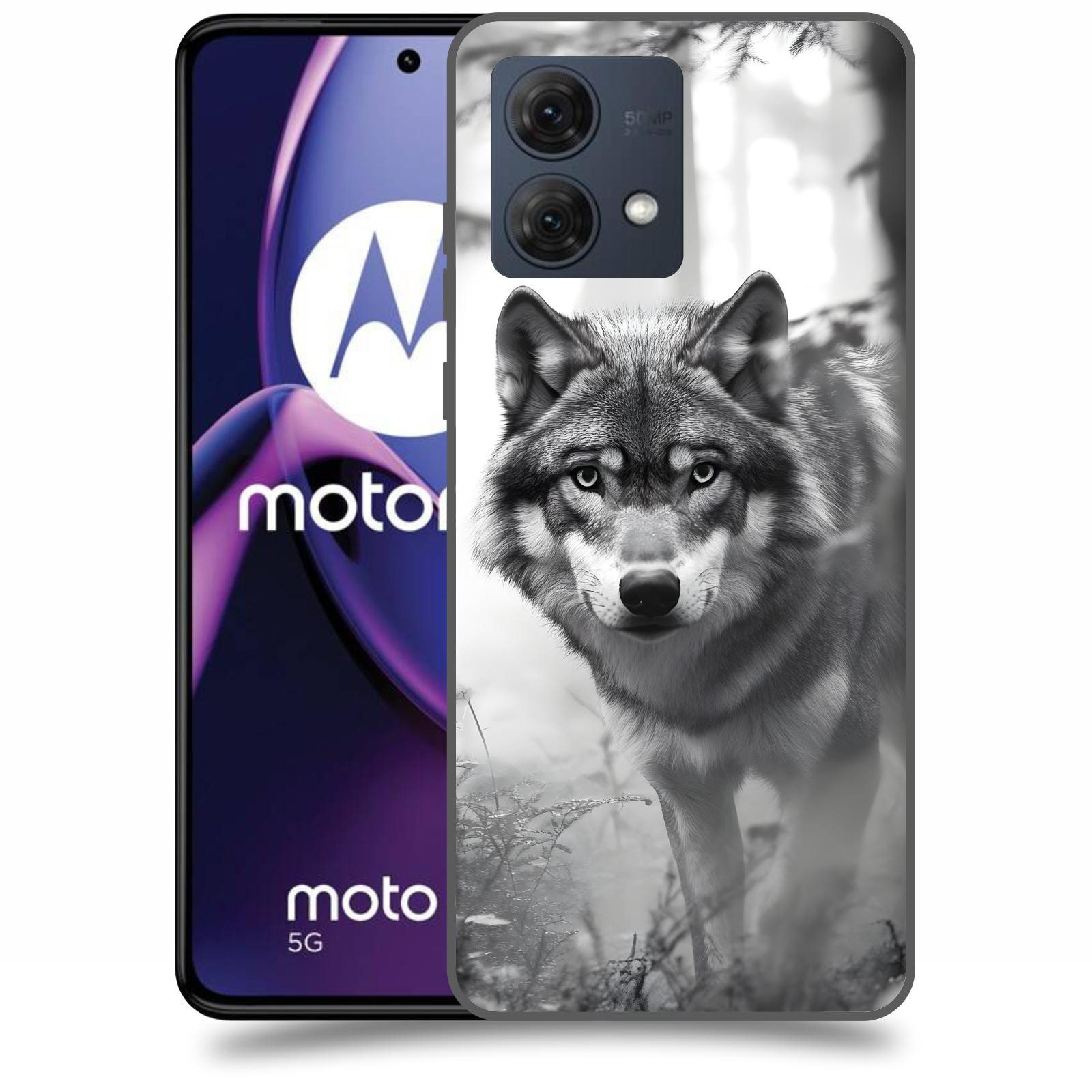 ACOVER Kryt na mobil Motorola Moto G84 5G - Vlk