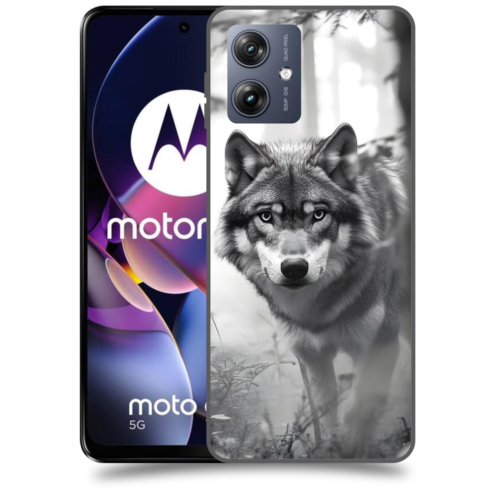 ACOVER Kryt na mobil Motorola Moto G54 5G - Vlk
