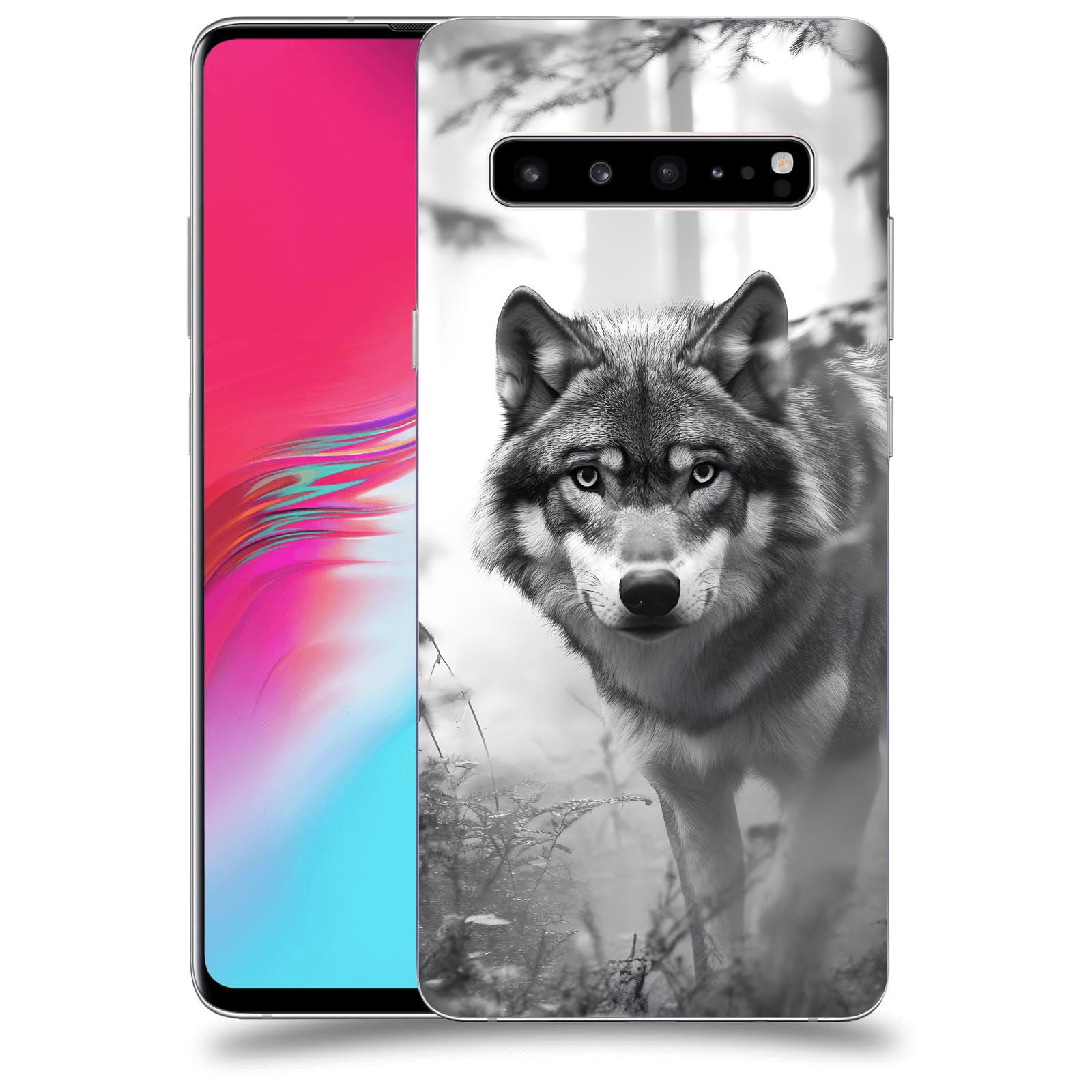 ACOVER Kryt na mobil Samsung Galaxy S10 G973 - Vlk