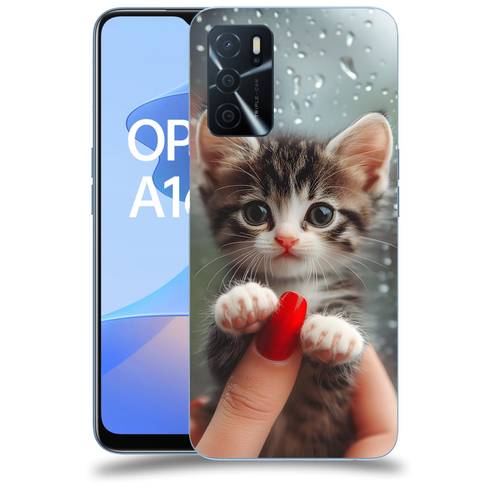ACOVER Kryt na mobil OPPO A16s - Koťátko 2