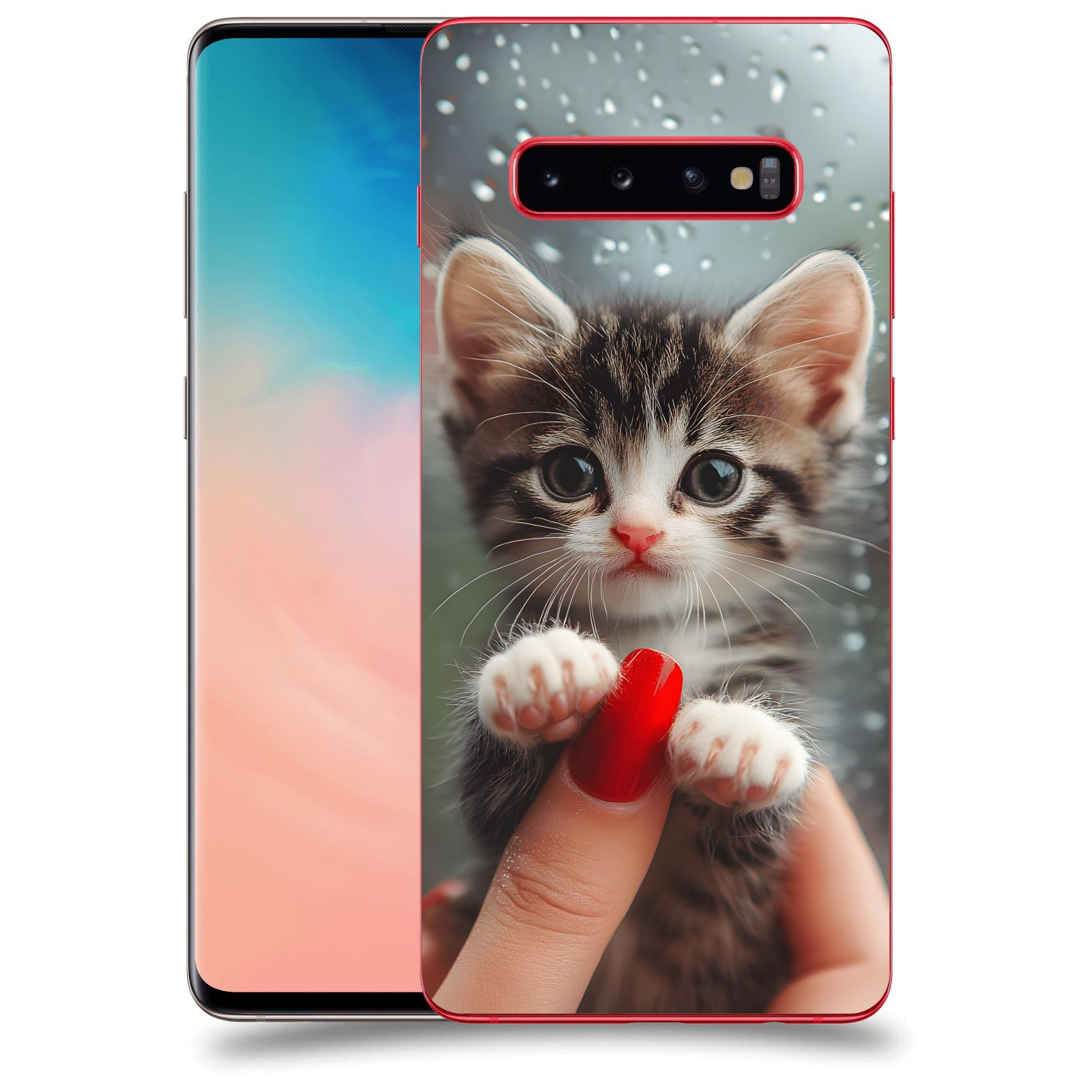 ACOVER Kryt na mobil Samsung Galaxy S10 Plus G975 - Koťátko 2
