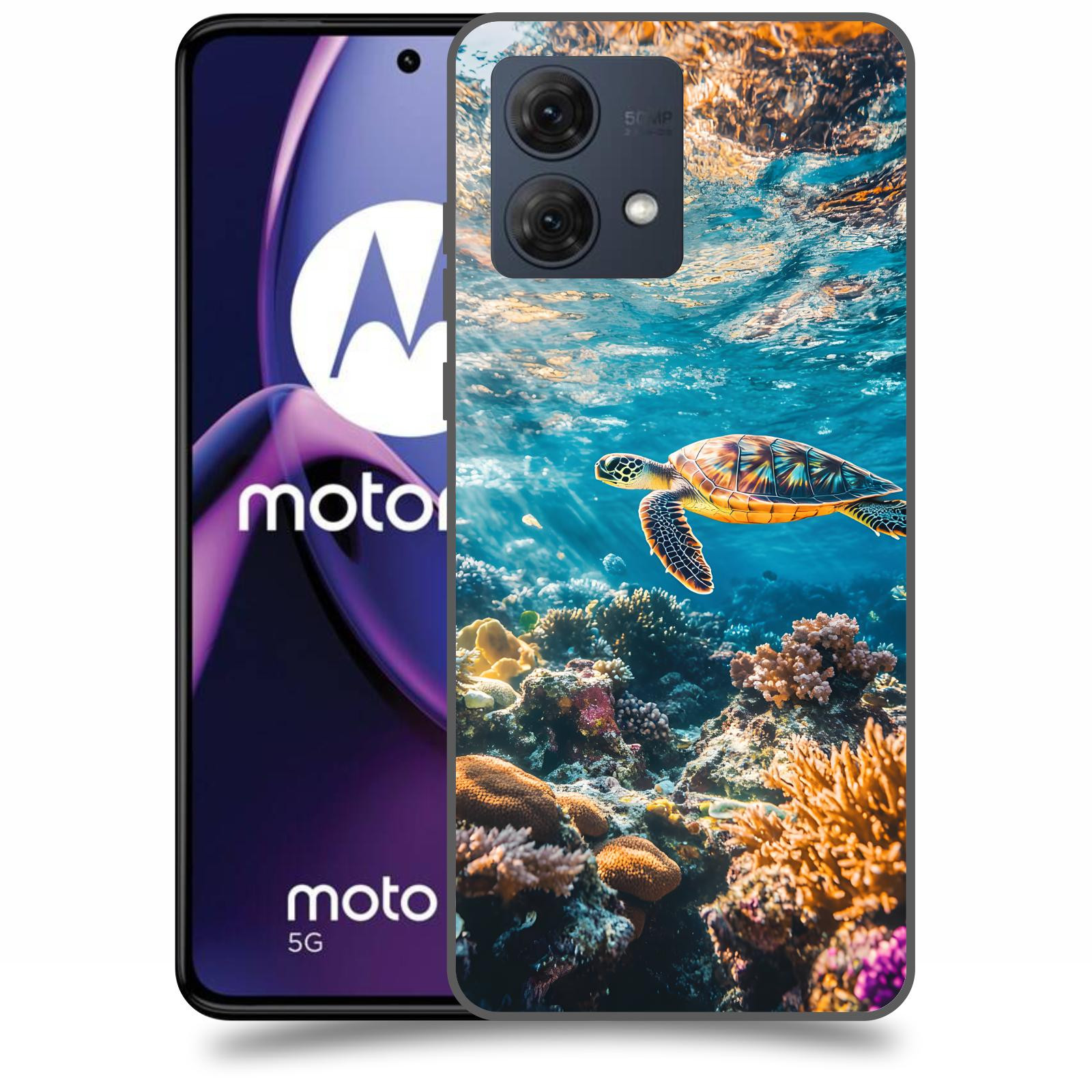 ACOVER Kryt na mobil Motorola Moto G84 5G - Želva