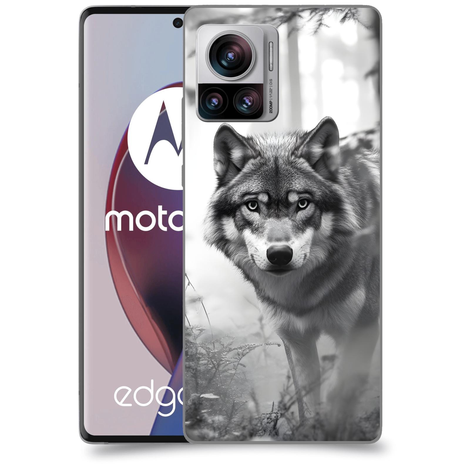 ACOVER Kryt na mobil Motorola Edge 30 Ultra - Vlk