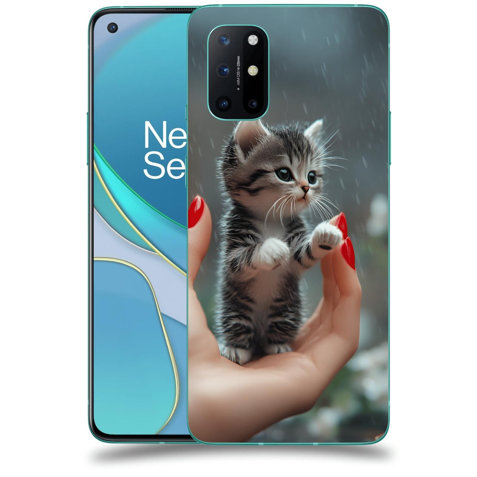 ACOVER Kryt na mobil OnePlus 8T - Koťátko