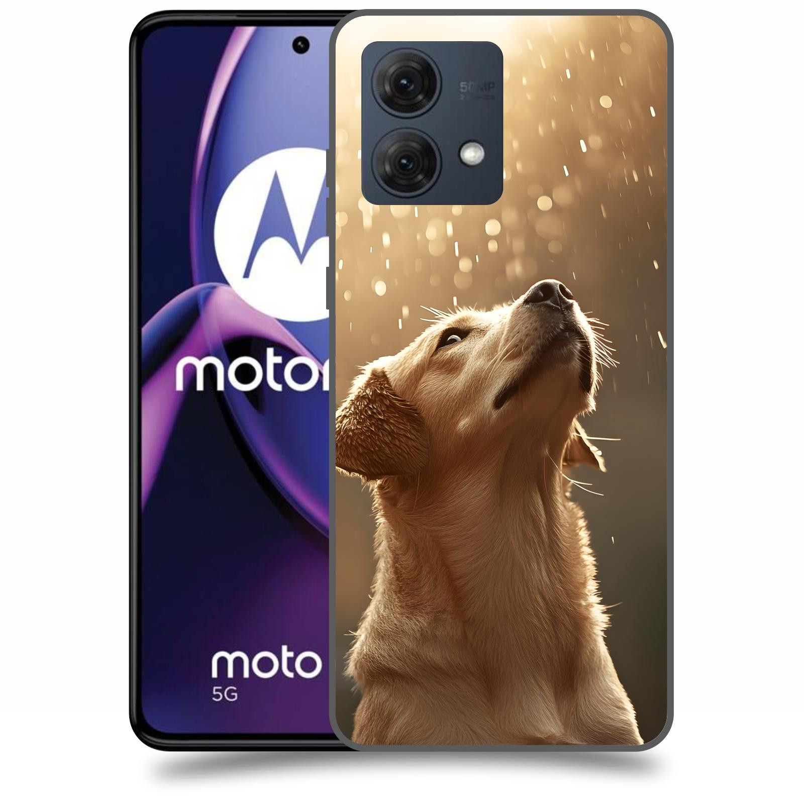 ACOVER Kryt na mobil Motorola Moto G84 5G - Pes