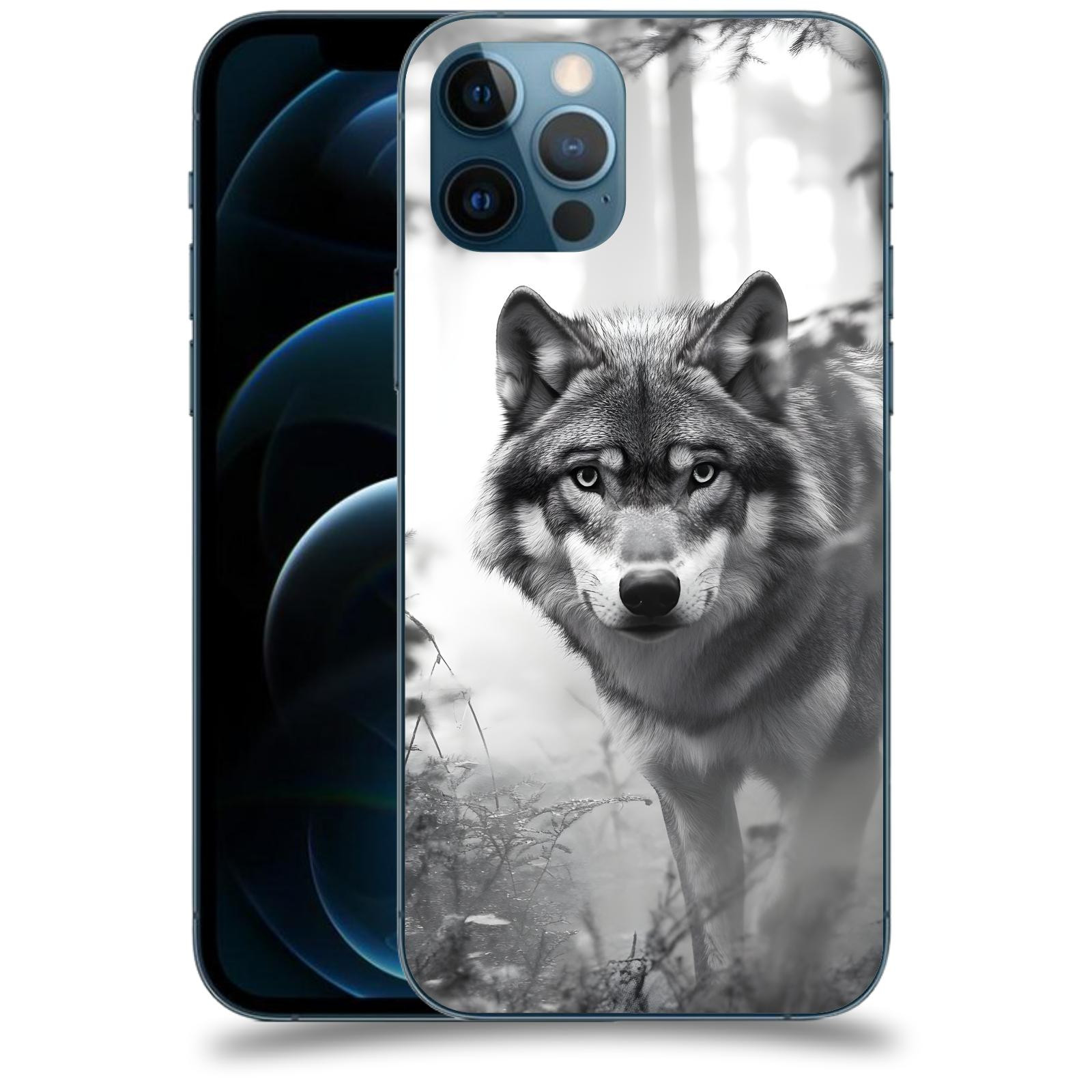 ACOVER Kryt na mobil Apple iPhone 12 Pro - Vlk