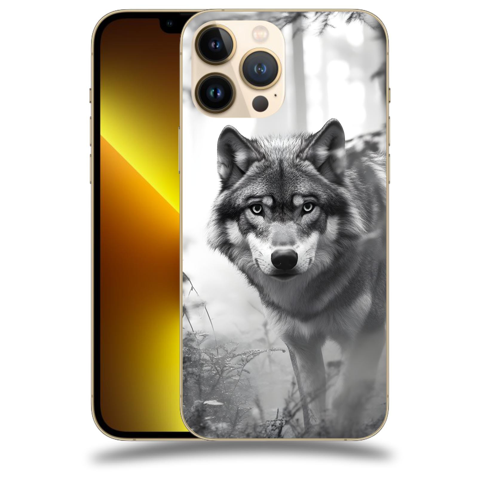 ACOVER Kryt na mobil Apple iPhone 13 Pro - Vlk