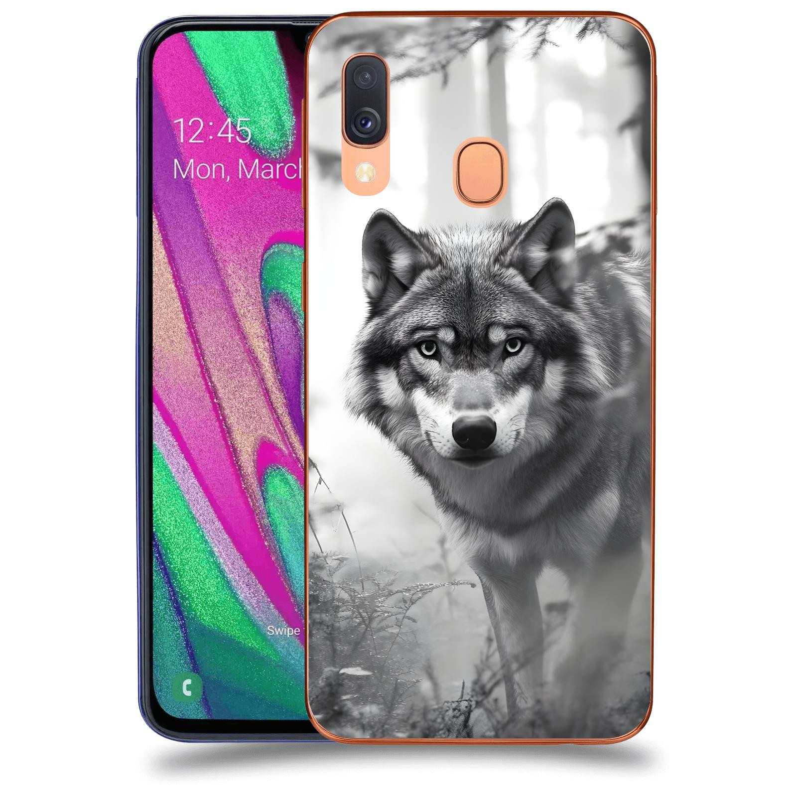 ACOVER Kryt na mobil Samsung Galaxy A40 A405F - Vlk