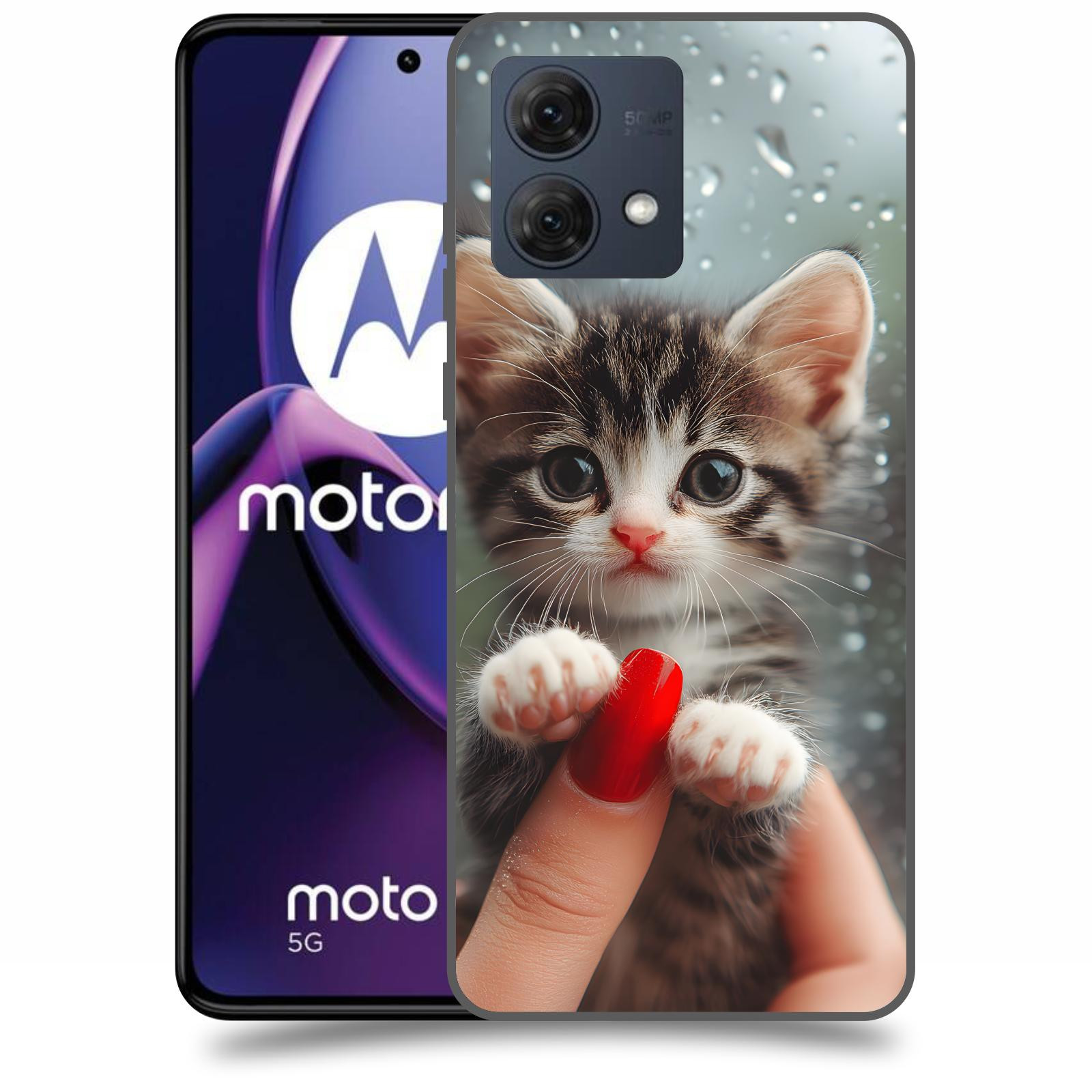ACOVER Kryt na mobil Motorola Moto G84 5G - Koťátko 2