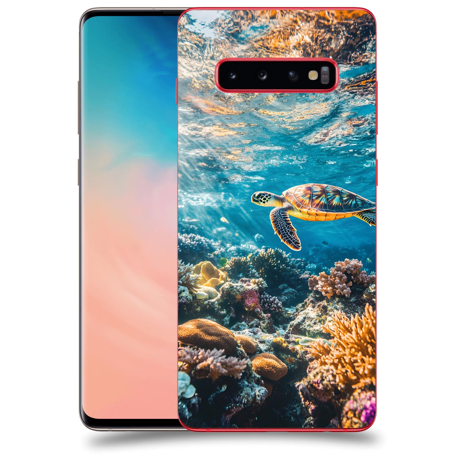 ACOVER Kryt na mobil Samsung Galaxy S10 Plus G975 - Želva