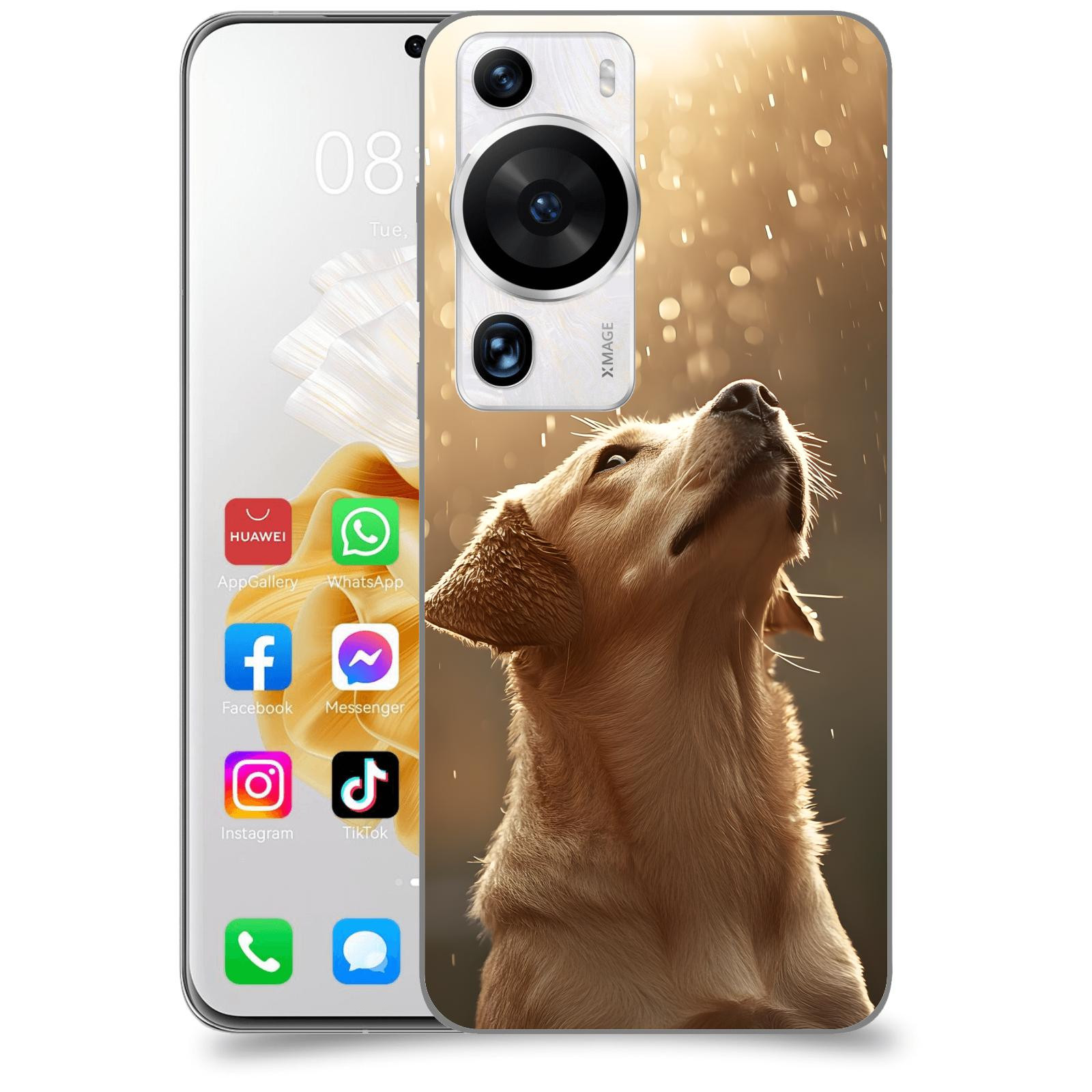 ACOVER Kryt na mobil Huawei P60 Pro - Pes