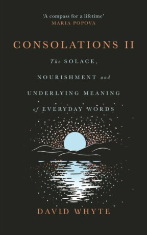 Consolations II: The Solace, Nourishment and Underlying Meaning of Everyday Words - Whyte David