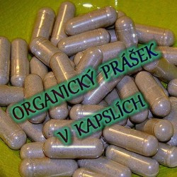 Pískavice kapsle 650mg, Počet kapslí 100