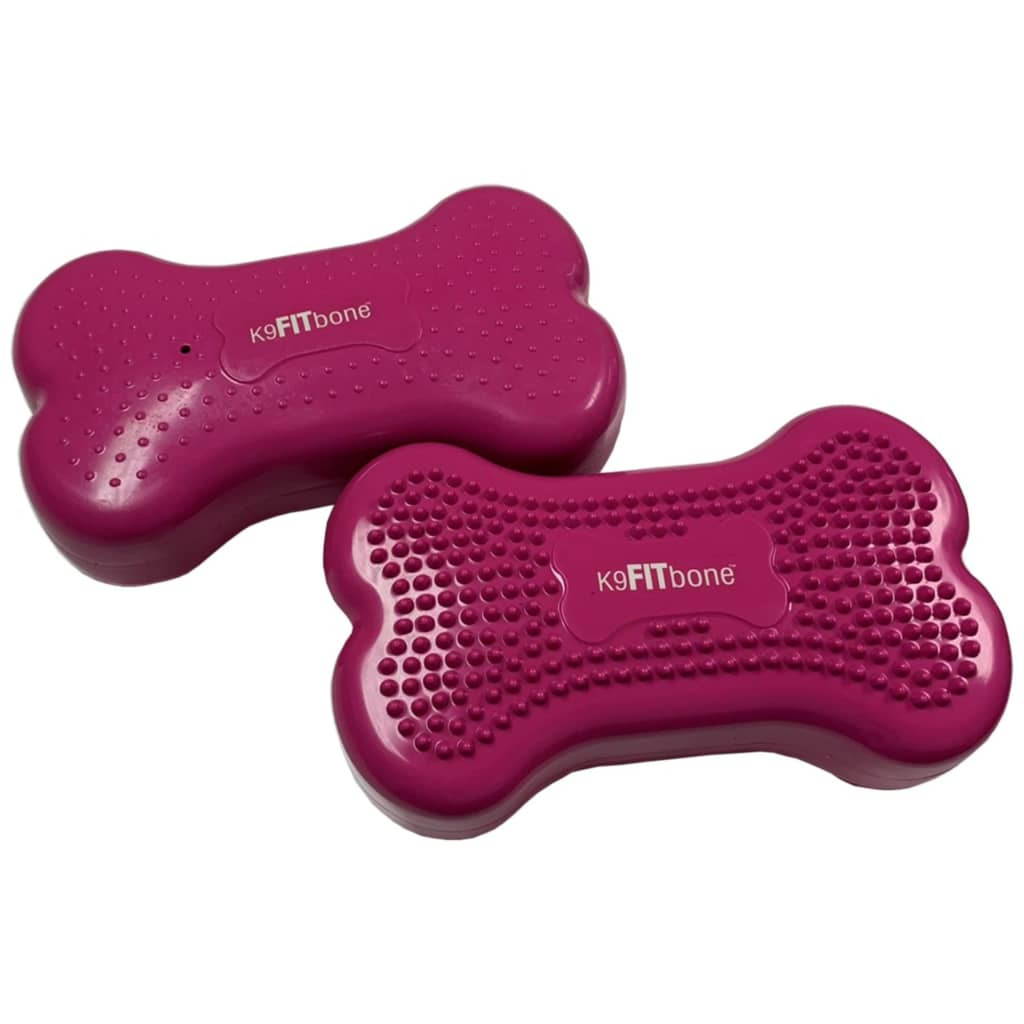 FitPAWS Ekvivalentní platforma Mini K9FITbone, 2 ks, 29x16,5x6 cm