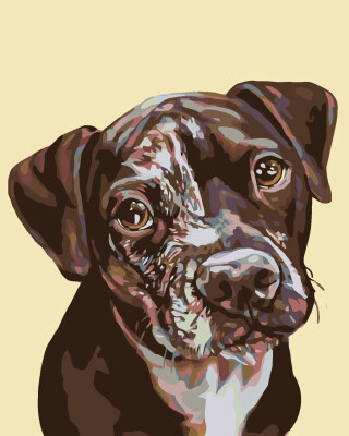 Malování podle čísel - FLEKATÉ ŠTĚNĚ