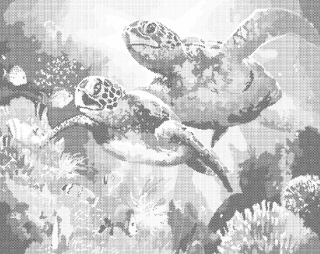 Tečkování - DVĚ KARETY OBROVSKÉ