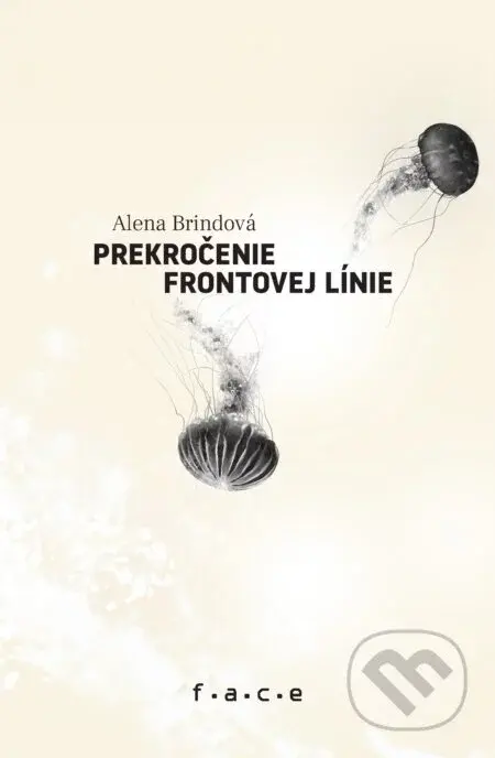 Prekročenie frontovej línie - Alena Brindová