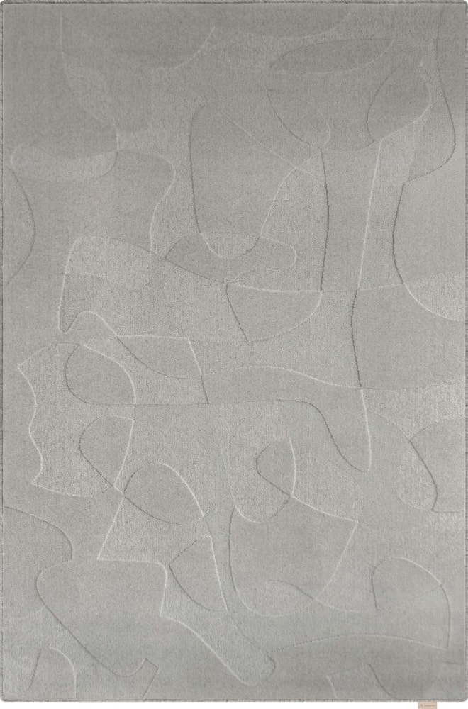 Šedý vlněný koberec 160x230 cm Morphic Botanica – Agnella